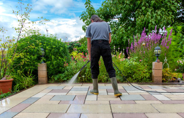 Best Sidewalk and Walkway Pressure Cleaning in Melrose, MN